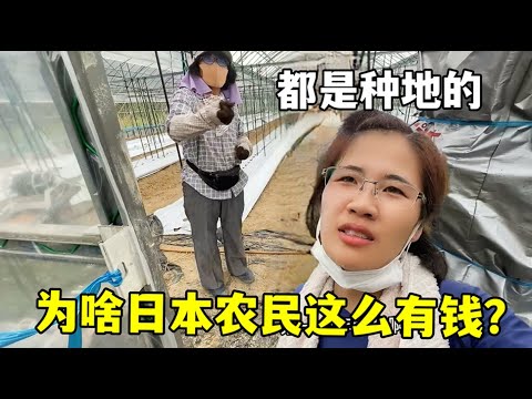 中国女子冰,壶队亚冬会,连获两场胜,Bet365直播中心,体育直播,赛事直播,实时数据,体育平台,直播观看