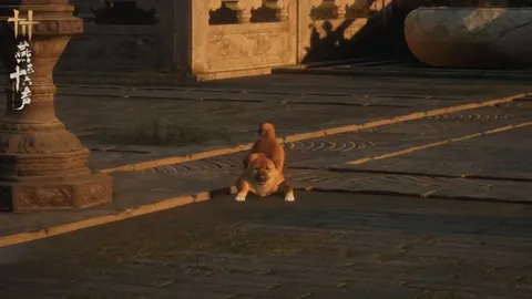 兰帕德立誓冲超：率考文垂挑战英超，有望攀事业顶峰